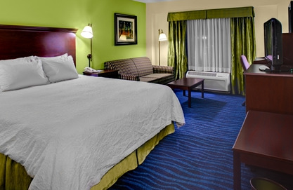 Hotel Hampton Atlanta Perimeter Center